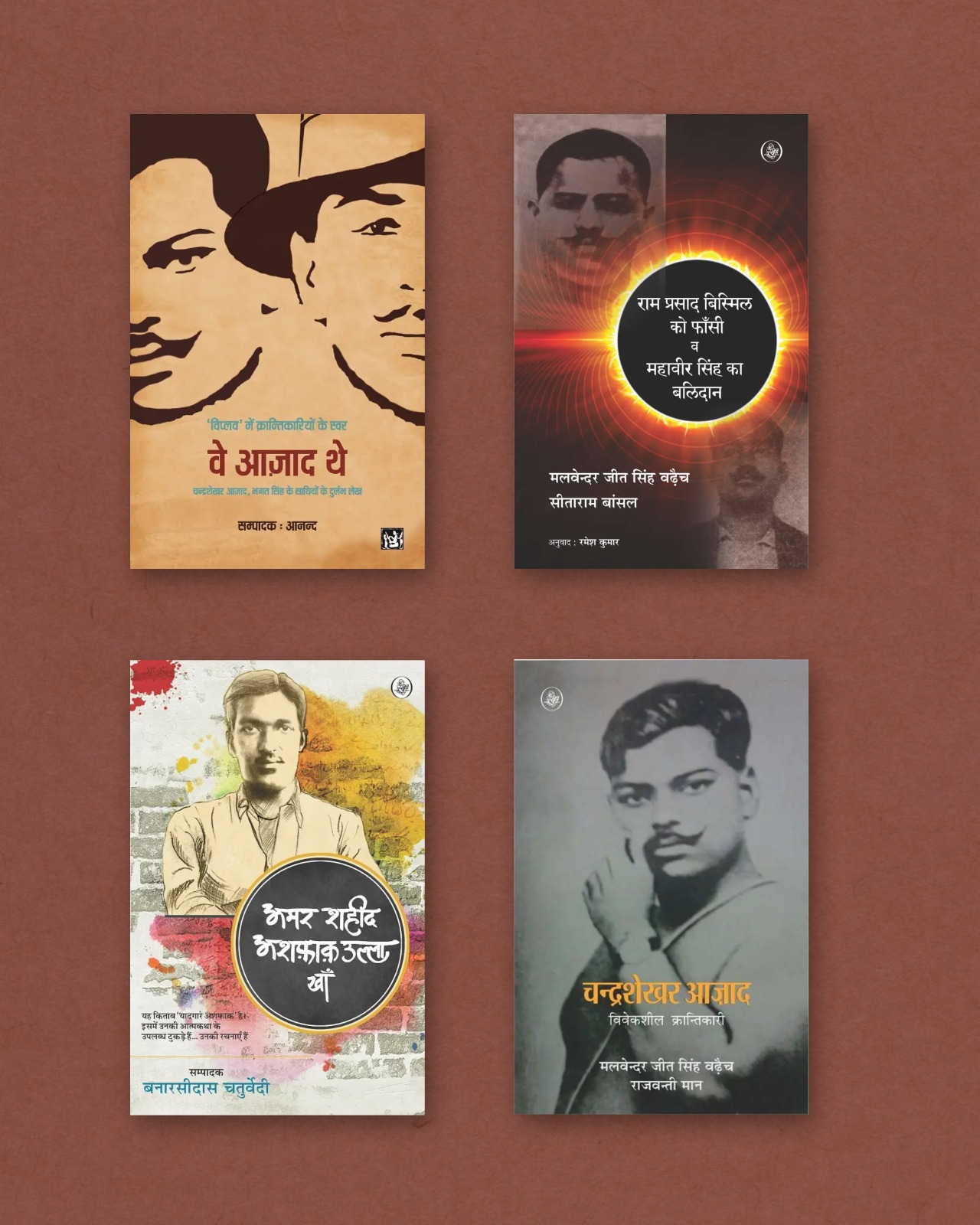 Revolutionary Freedom Fighters Books Collection (Set of 4 Books)